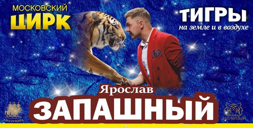 Тигры на земле и в воздухе
