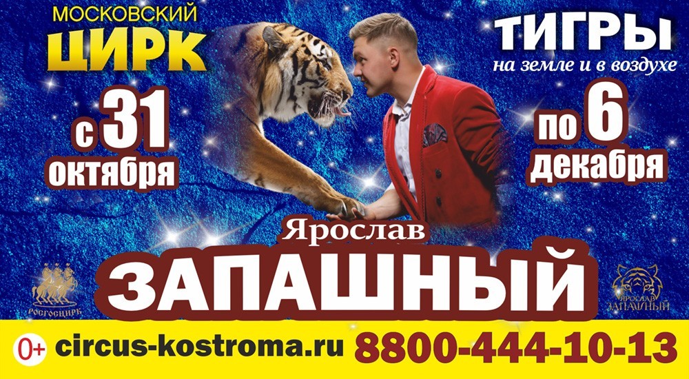 Тигры на земле и в воздухе